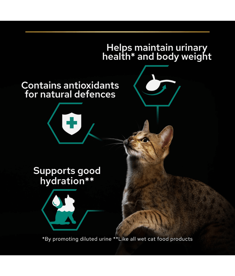 Purina Pro Plan Sterilised Wet Cat Food, Beef in Gravy, 85g