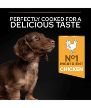 Purina Pro Plan Healthy Start Small and Mini Puppy, Dry Dog food with Chicken 3 kg