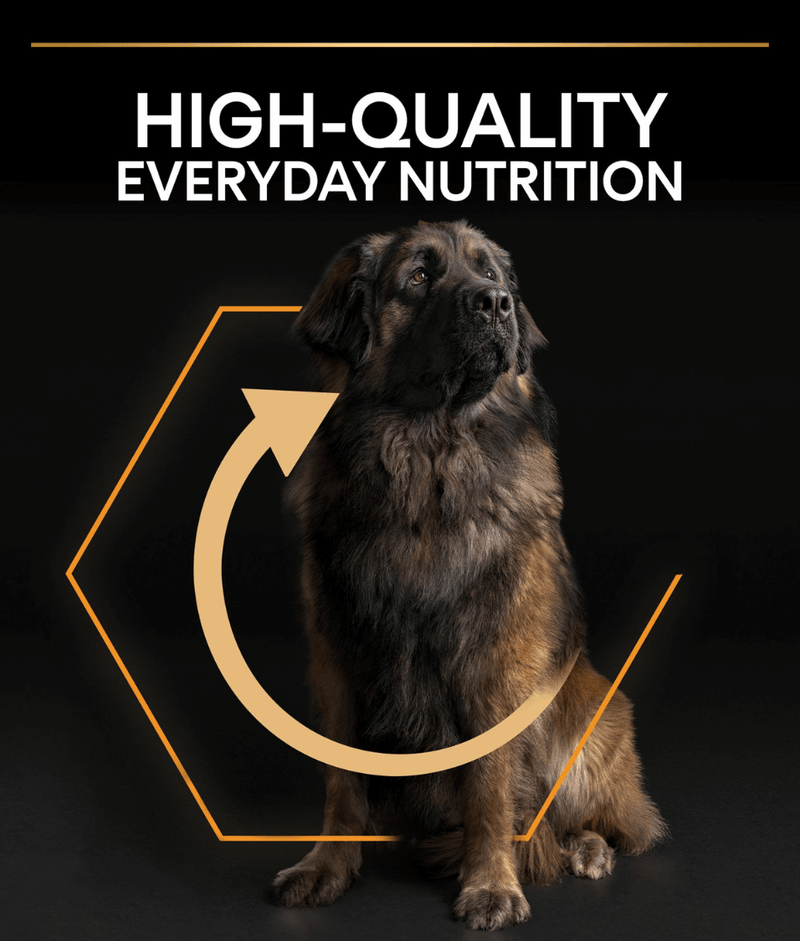 Purina Pro Plan Everyday Nutrition Large Robust Adult, Dry Dog food with Chicken 14kg