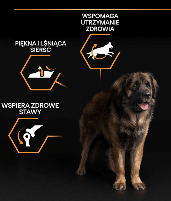 Pro Plan Purina Pro Plan Everyday Nutrition Large Robust Adult, Dry Dog food with Chicken 14kg