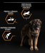 Pro Plan Purina Pro Plan Everyday Nutrition Large Robust Adult, Dry Dog food with Chicken 14kg