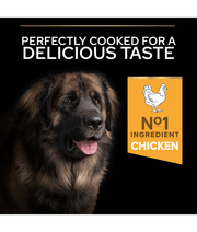 Purina Pro Plan Everyday Nutrition Large Robust Adult, Dry Dog food with Chicken 14kg