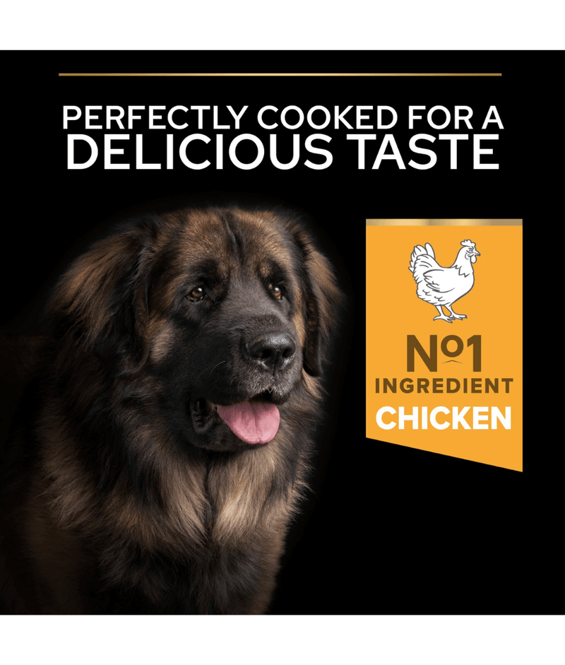 Purina Pro Plan Everyday Nutrition Large Robust Adult, Dry Dog food with Chicken 14kg