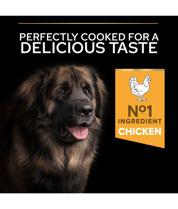 Pro Plan Purina Pro Plan Everyday Nutrition Large Robust Adult, Dry Dog food with Chicken 14kg