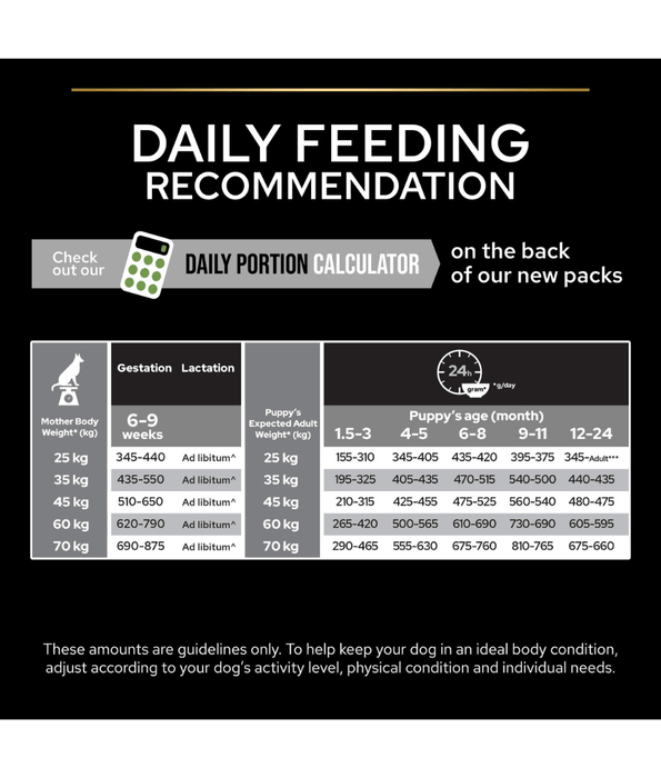 Pro Plan Purina Pro Plan Healthy Start Large Robust Puppy, Dry Dog food with Chicken 3kg-12kg