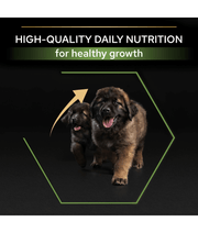Purina Pro Plan Healthy Start Large Robust Puppy, Dry Dog food with Chicken 3kg-12kg