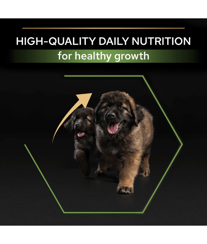 Purina Pro Plan Healthy Start Large Robust Puppy, Dry Dog food with Chicken 3kg-12kg