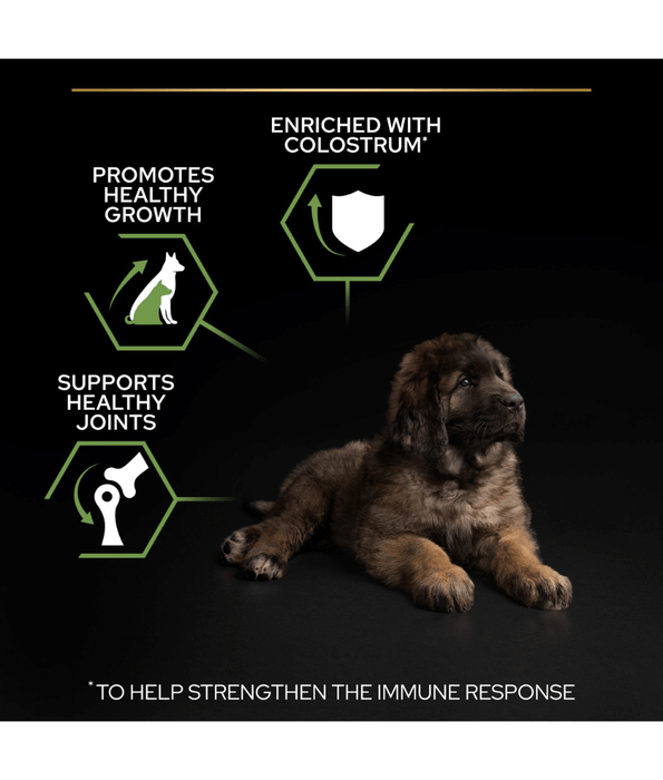 Pro Plan Purina Pro Plan Healthy Start Large Robust Puppy, Dry Dog food with Chicken 3kg-12kg