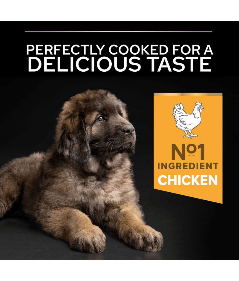 Purina Pro Plan Healthy Start Large Robust Puppy, Dry Dog food with Chicken 3kg-12kg