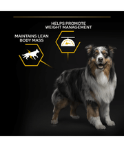 Purina Pro Plan Light Sterilized All Sizes Adult, Dry Dog food with Chicken 3kg 14kg