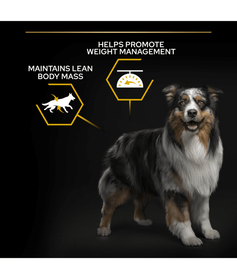 Purina Pro Plan Light Sterilized All Sizes Adult, Dry Dog food with Chicken 3kg 14kg