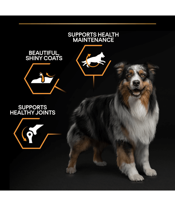 Pro Plan Purina Pro Plan Everyday Nutrition Medium Adult, Dry Dog food with Chicken 3kg