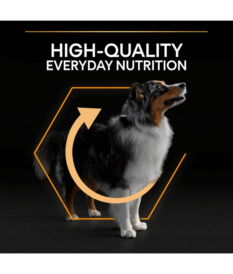 Purina Pro Plan Everyday Nutrition Medium Adult, Dry Dog food with Chicken 3kg