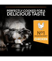 Purina Pro Plan Everyday Nutrition Medium Adult, Dry Dog food with Chicken 3kg