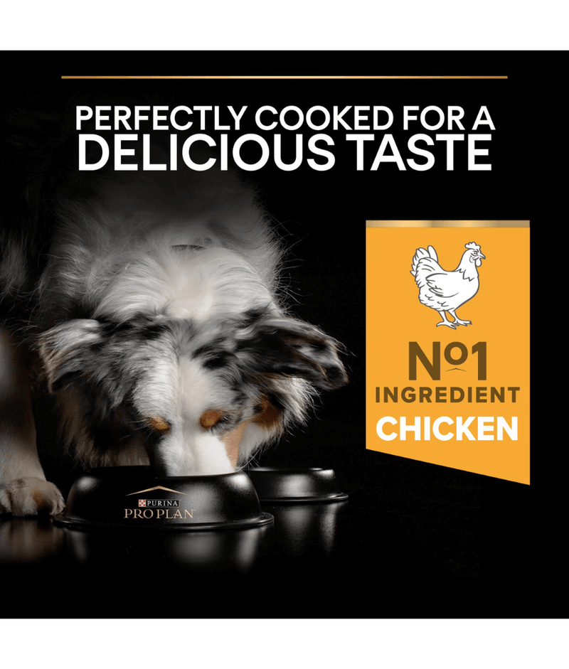 Purina Pro Plan Everyday Nutrition Medium Adult, Dry Dog food with Chicken 3kg