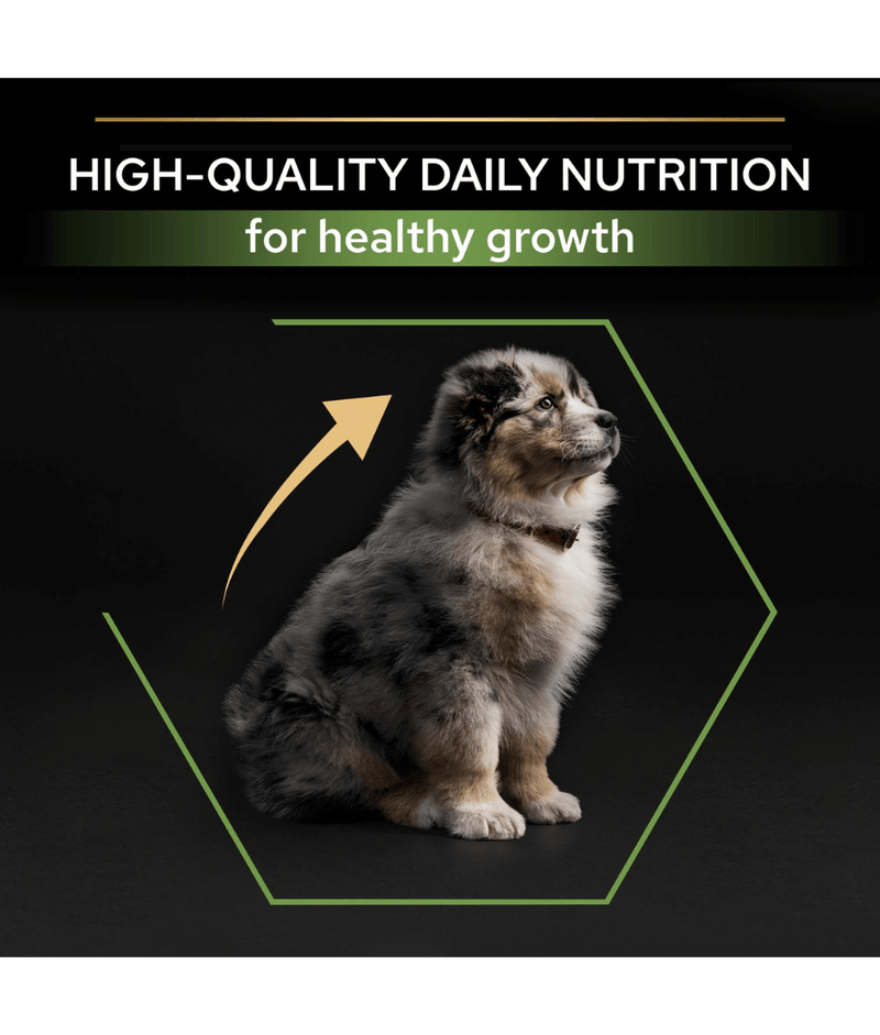 Purina Pro Plan Healthy Start Medium Puppy, Dry Dog food with Chicken 3kg-12kg