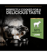 Purina Pro Plan Sensitive Digestion Medium Adult, Dry Dog food with Lamb 3kg-14kg