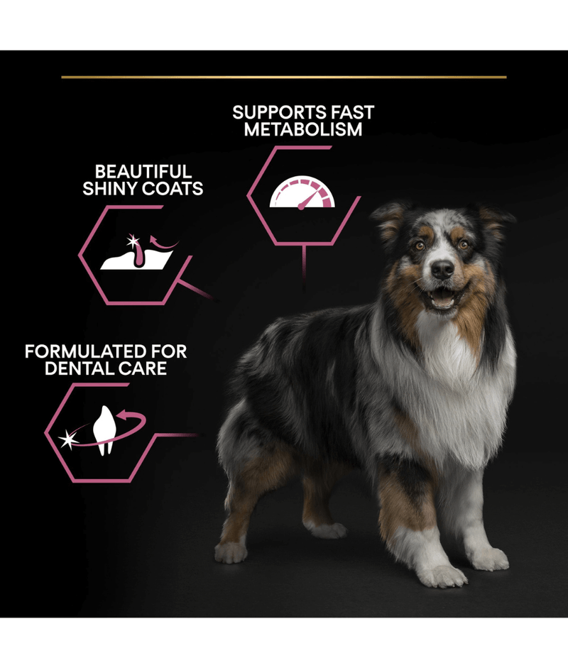 Purina Pro Plan Sensitive Skin Medium Adult, Dry Dog food with Salmon 3kg