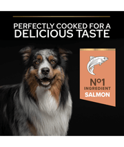 Purina Pro Plan Sensitive Skin Medium Adult, Dry Dog food with Salmon 3kg