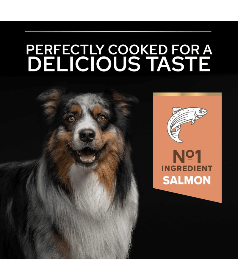 Purina Pro Plan Sensitive Skin Medium Adult, Dry Dog food with Salmon 3kg