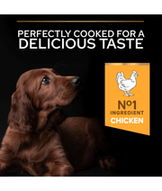 Purina Pro Plan Healthy Start Large Athletic Puppy, Dry Dog food with Chicken 3kg-12kg