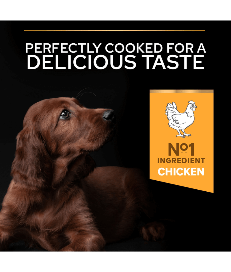 Purina Pro Plan Healthy Start Large Athletic Puppy, Dry Dog food with Chicken 3kg-12kg