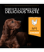 Pro Plan Purina Pro Plan Healthy Start Large Athletic Puppy, Dry Dog food with Chicken 12 kg