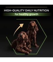 Purina Pro Plan Healthy Start Large Athletic Puppy, Dry Dog food with Chicken 3kg-12kg