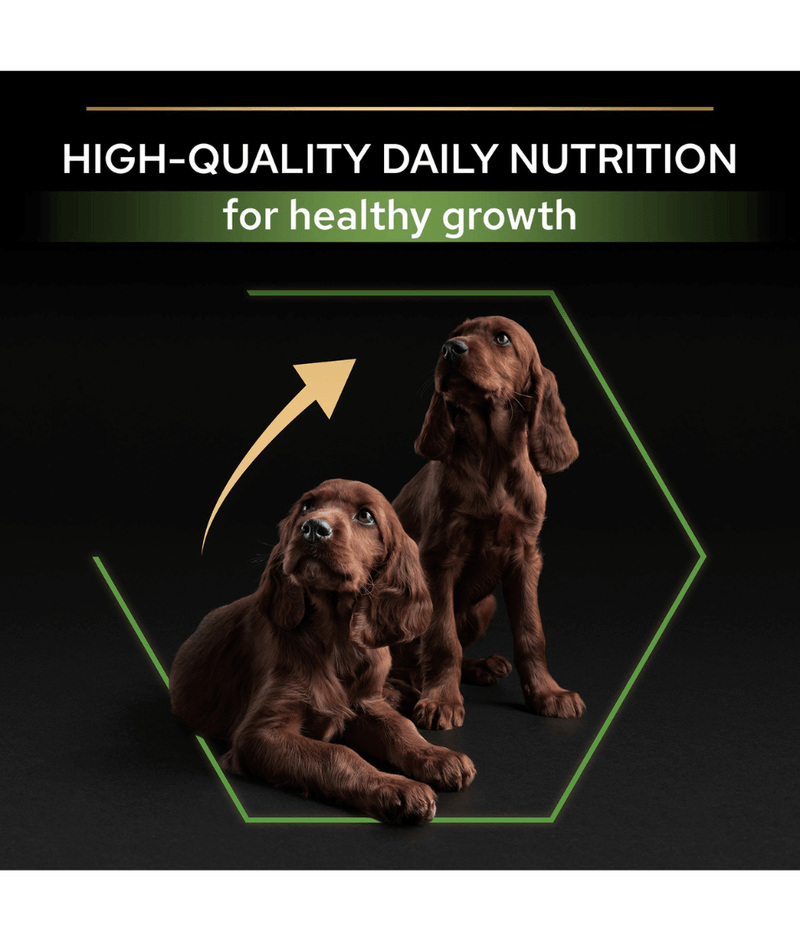 Purina Pro Plan Healthy Start Large Athletic Puppy, Dry Dog food with Chicken 3kg-12kg