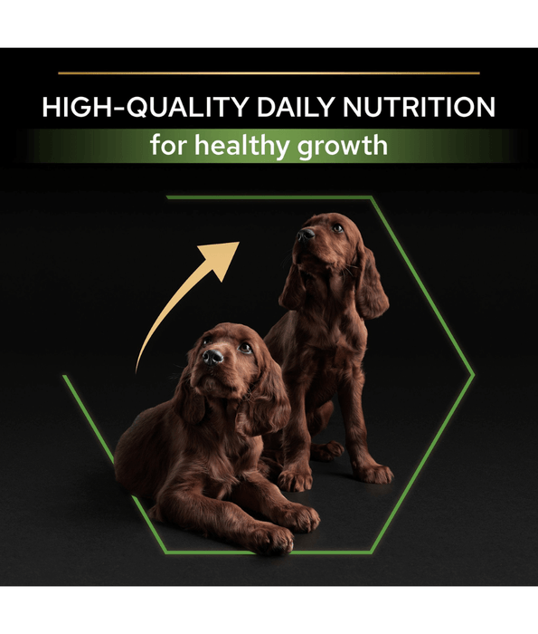Pro Plan Purina Pro Plan Healthy Start Large Athletic Puppy, Dry Dog food with Chicken 12 kg