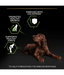 Pro Plan Purina Pro Plan Healthy Start Large Athletic Puppy, Dry Dog food with Chicken 12 kg