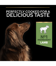 Purina Pro Plan Sensitive Digestion Small and Mini Adult, Dry Dog food with Lamb 3kg