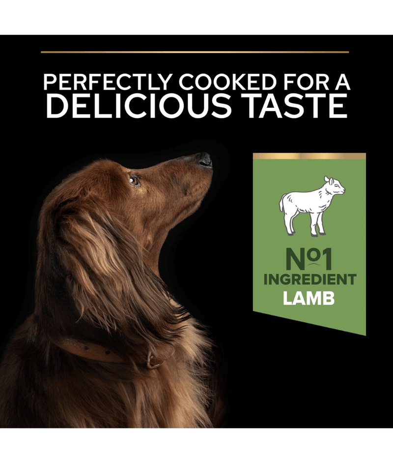 Purina Pro Plan Sensitive Digestion Small and Mini Adult, Dry Dog food with Lamb 3kg