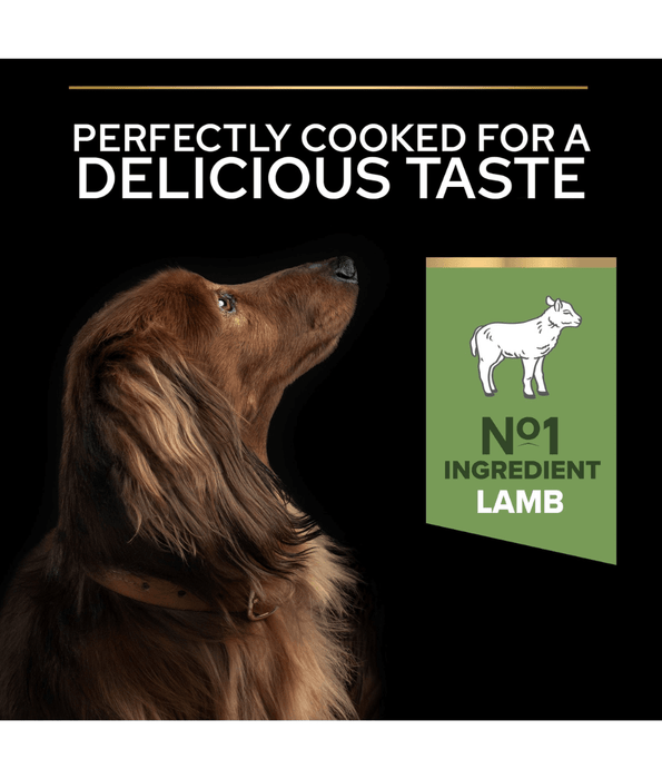 Pro Plan Purina Pro Plan Sensitive Digestion Small and Mini Adult, Dry Dog food with Lamb 3kg