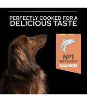 Purina Pro Plan Sensitive Skin Small and Mini Adult, Dry Dog food with Salmon 3kg
