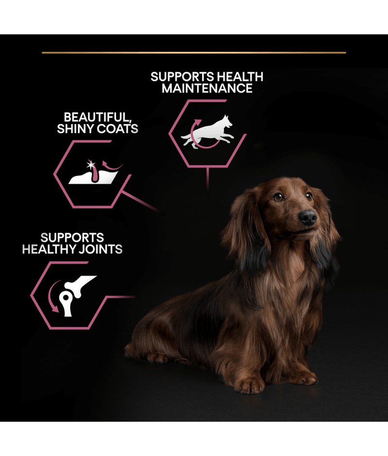 Purina Pro Plan Sensitive Skin Small and Mini Adult, Dry Dog food with Salmon 3kg