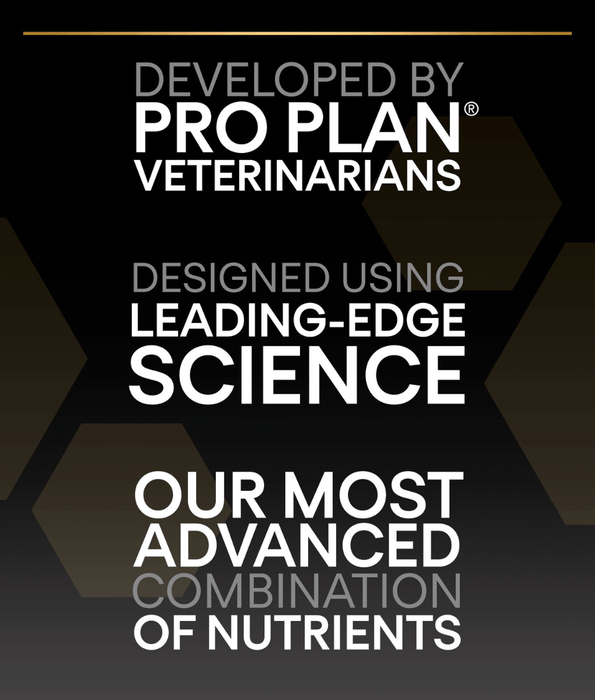 Pro Plan Purina Pro Plan Sensitive Skin Small and Mini Adult, Dry Dog food with Salmon 3kg