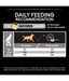 Pro Plan Purina Pro Plan Everyday Nutrition Small and Mini Adult, Dry Dog food with Chicken 3kg - 7kg