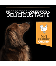 Purina Pro Plan Everyday Nutrition Small and Mini Adult, Dry Dog food with Chicken 3kg - 7kg