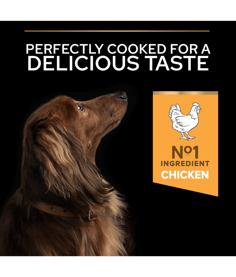Purina Pro Plan Everyday Nutrition Small and Mini Adult, Dry Dog food with Chicken 3kg - 7kg