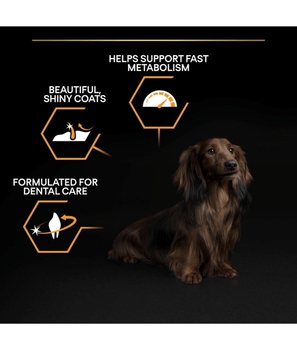 Pro Plan Purina Pro Plan Everyday Nutrition Small and Mini Adult, Dry Dog food with Chicken 3kg - 7kg