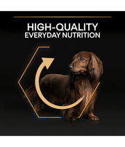 Purina Pro Plan Everyday Nutrition Small and Mini Adult, Dry Dog food with Chicken 3kg - 7kg