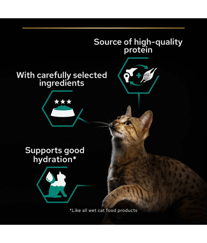 Purina Pro Plan Adult Maintenance, Wet Cat Food, Terrine Rich in Chicken 85g