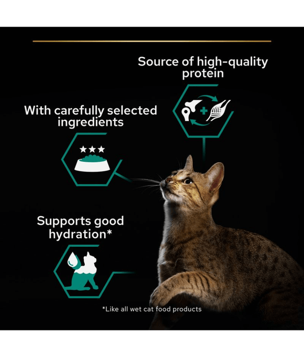 Pro Plan Purina Pro Plan Adult Maintenance, Wet Cat Food, Terrine Rich in Chicken 85g