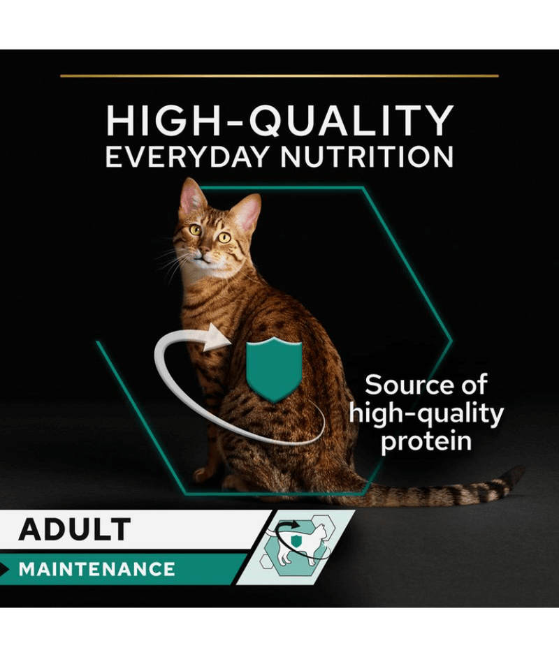 Purina Pro Plan Adult Maintenance, Wet Cat Food, Terrine Rich in Chicken 85g