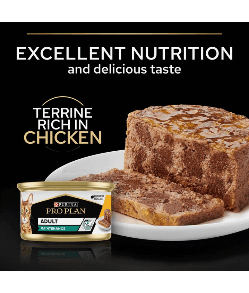 Purina Pro Plan Adult Maintenance, Wet Cat Food, Terrine Rich in Chicken 85g