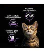 Purina Pro Plan Kitten Healthy Start, Wet Cat Food, Mousse rich in Chicken 85g