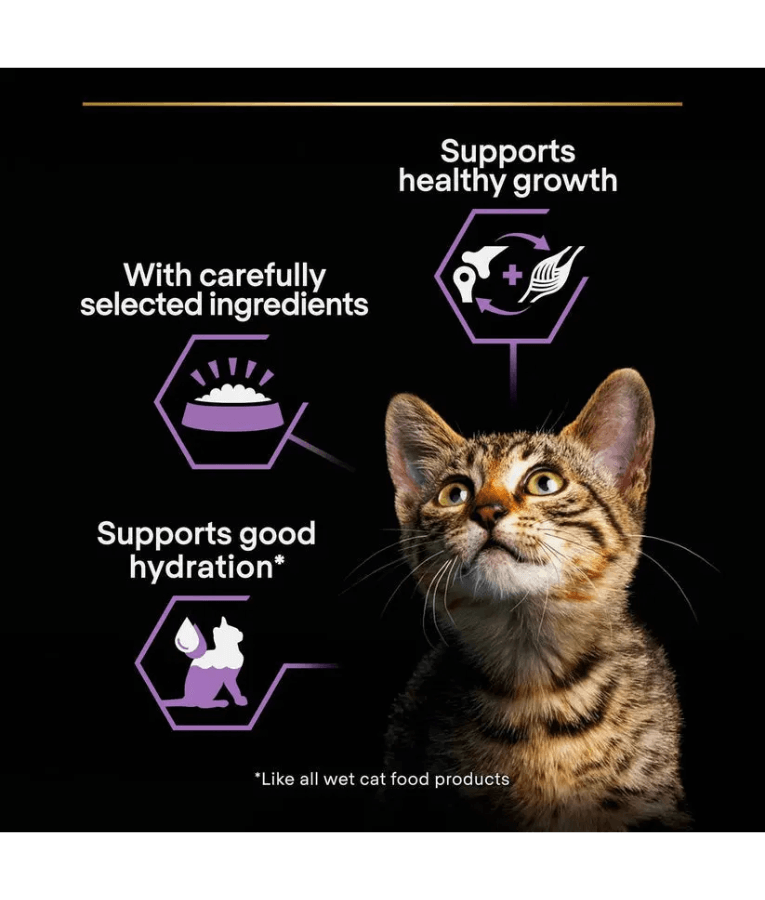 Purina Pro Plan Kitten Healthy Start, Wet Cat Food, Mousse rich in Chicken 85g