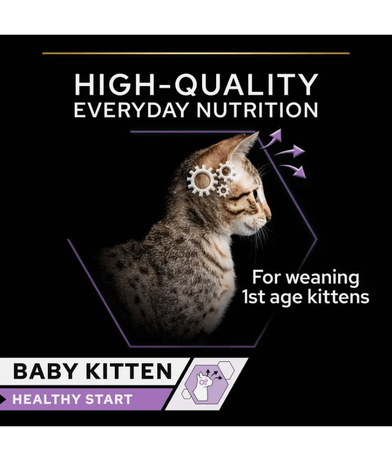 Purina Pro Plan Kitten Healthy Start, Wet Cat Food, Mousse rich in Chicken 85g