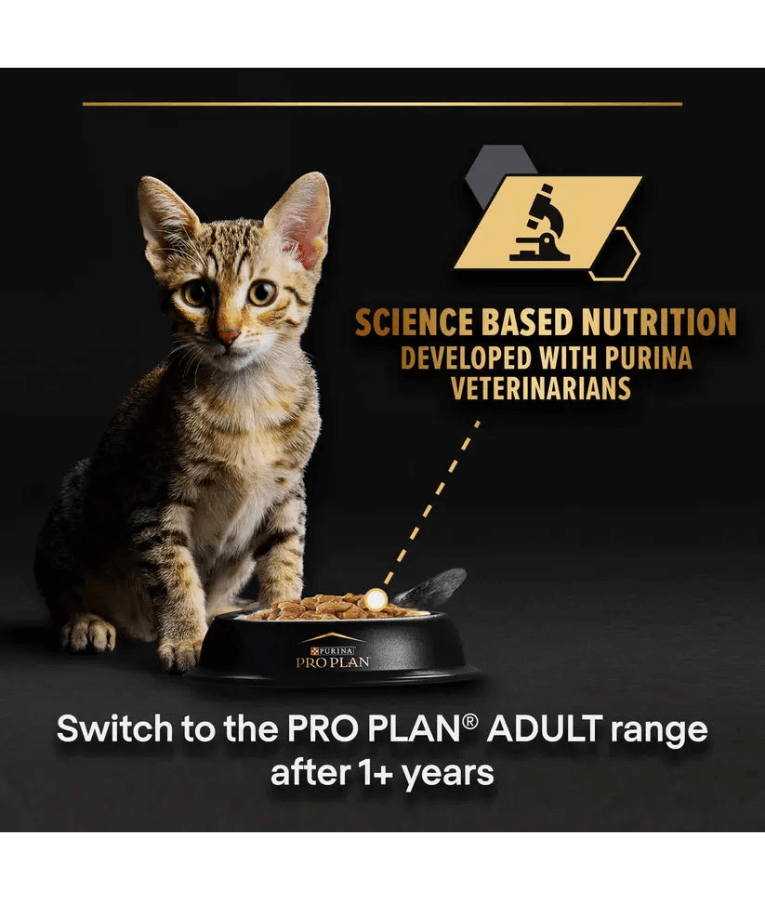 Purina Pro Plan Kitten Healthy Start, Wet Cat Food, Mousse rich in Chicken 85g